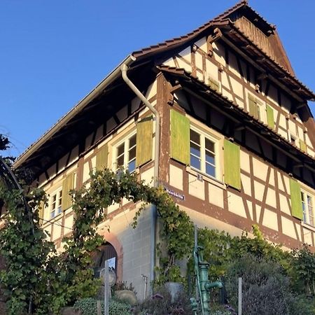 Ferienwohnungen Weingut Pieper Basler اوفنبرغ المظهر الخارجي الصورة